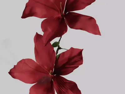 Hibiscus Low-poly 3D model