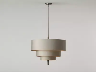 Organic Pendant Lamp 3D model
