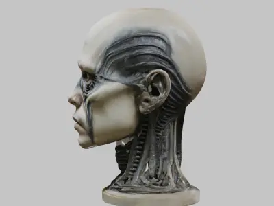 Portrait of a man HR Giger Style Human Head Bust 4 Low-poly 3D model