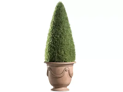 Thuja in a classic French pot Tree Patio Porch Balcony  3D model