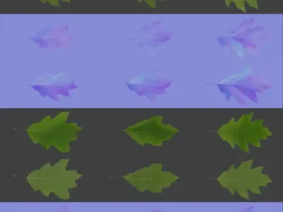 Oak 2 leaf 3D models 3D model
