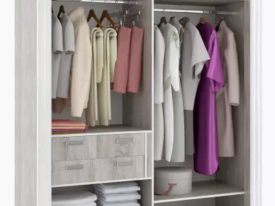 closet sliding wardrobe doors 3D model