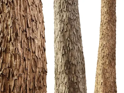 Bark 02 - Seamless Texture