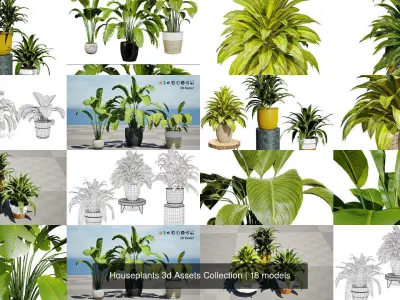 Houseplants 3d Assets Collection 3D Model Pack