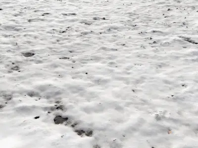 Snow ground Scan 10k 3D model
