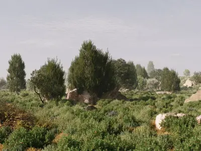 Maquis Shrubland Scatter - Archviz Asset 3D model