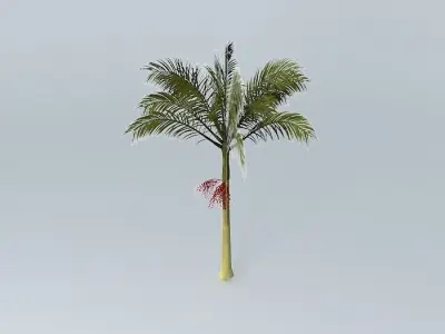 Alexandra Palm Archontophoenix alexandrae 02 Free 3D model