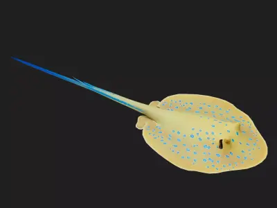 Ray fish Low-poly 3D model