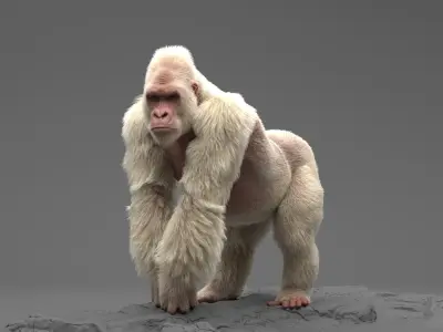  White Gorilla Rigged 