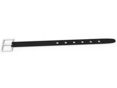 Belts 3D model