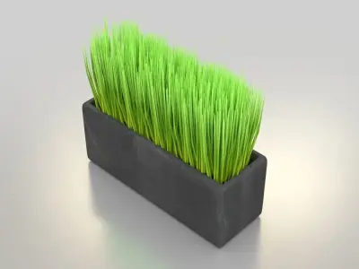 Box Planter 3D model