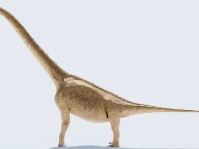  Brachiosaurus-Altitorax 