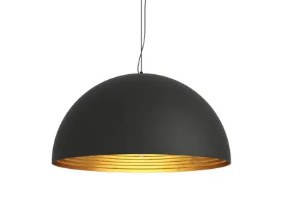 SALISHAN PENDANT LAMP 3D model