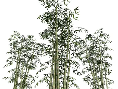 Bamboo Thicket Plant Tree Low Poly Low-poly 3D model