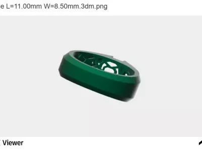 The Paradigm Ring 3D print model