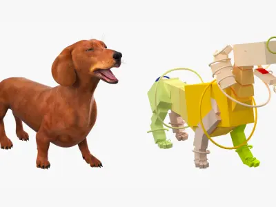  Smooth Dachshund Dog with Red Coat Rigged 