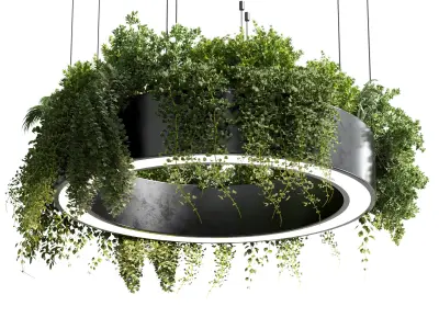 indoor plant and hanging plant and pot light  3D Model Pack