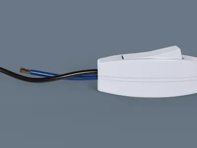 Indoor Hanging Switch High Poly 3D model