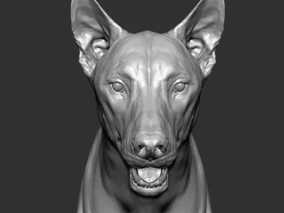  Wolf with Facial Expression 