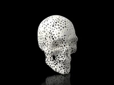 Skull Voronoi Low-poly 3D model