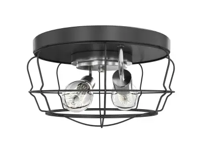 Gauge Collection Two-Light Flush Mount By Progress Lighting 3D model