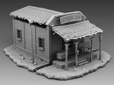 Antique Shop 3D print model
