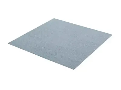 Carpet 3D model 12