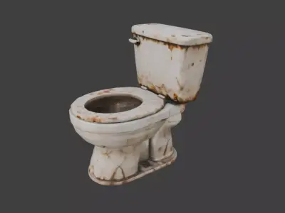 Abandoned Filthy Toilet Low-poly 3D model