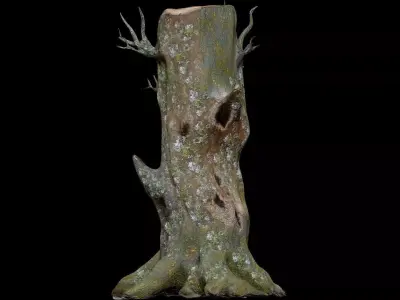 Dead Moss Tree Stump V2 Low-poly 3D model