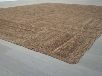 SisalCarpet Free 3D model