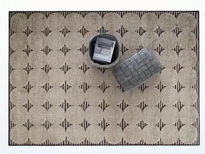 Quadrature Rug 3D model
