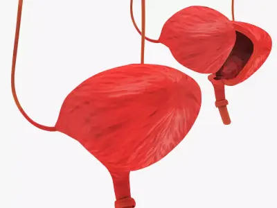 Bladder with Cross-Section 3D model