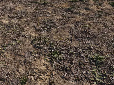 Spring soil  2 3D model