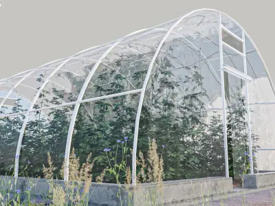 Cannabis Greenhouse with Plants 3D model