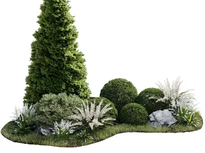 Outdoor Plant 33 3D model