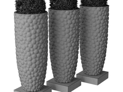 Plant in the pot IV 3D model