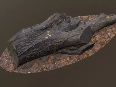 City Park Log Low-poly 3D model