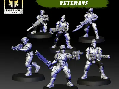 Vanquishers Veterans 3D print model