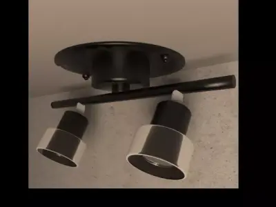 Spotlights ceiling light with two lights 3D model