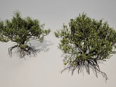 Mangrove 3D Models Low-poly Tropical Tree Low-poly 3D model