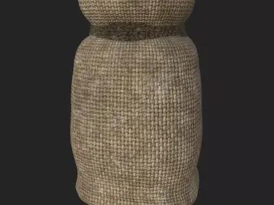 Realistic Medieval Viking Seed Bag - Game Ready PBR Asset Low-poly 3D model