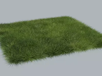 Grass 3D model