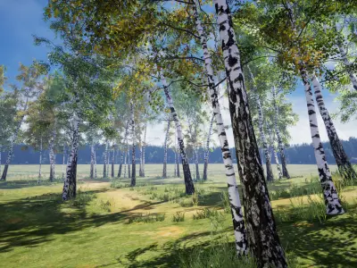 Birch-Tree Grove - low poly Low-poly 3D model