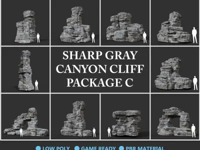 Low poly Gray Cliff Rock 200915 Pack C Low-poly 3D model