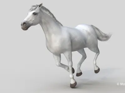  Horse PRO White 
