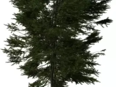 Tall Forest Pine Trees Pack Low-poly 3D model