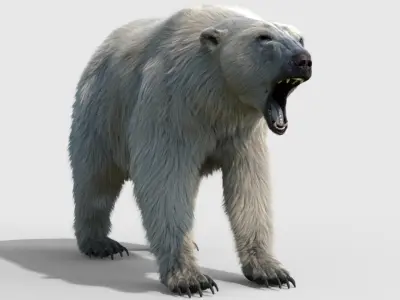  Polar bear RIGGED FUR 