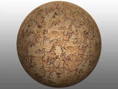 Cork - PBR egg Texture