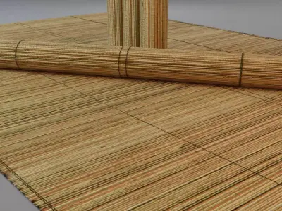 Bamboo Mat tatami 3D model