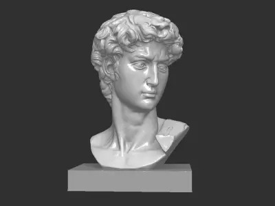 DAVID BUST 3D print model